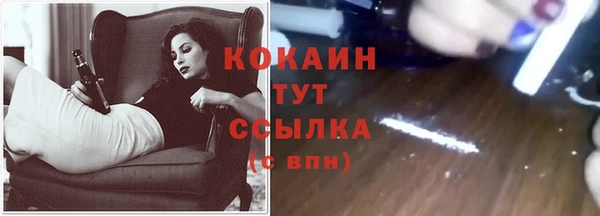 спайс Инсар