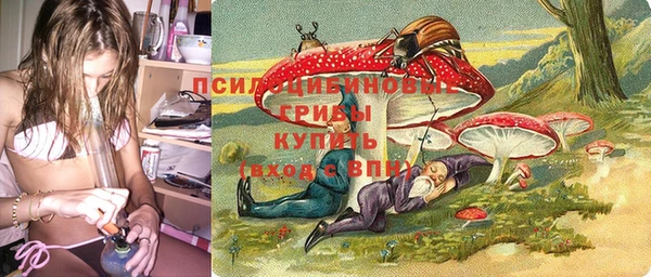 мяу мяу мука Каменногорск