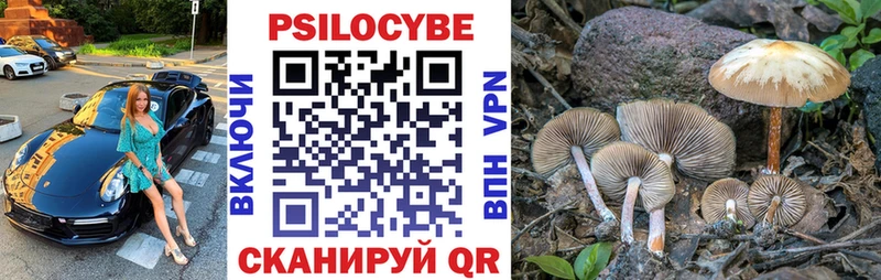 мега как войти сколько стоит Клинцы Галлюциногенные грибы Magic Shrooms