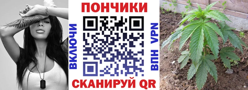 Конопля семена  наркота  Клинцы 
